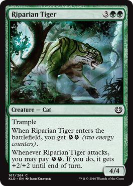 Riparian Tiger